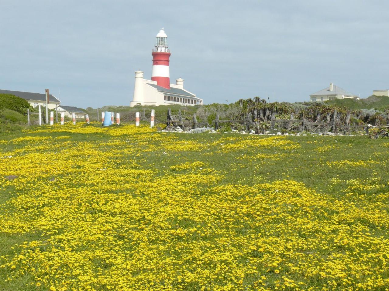 House Of 2 Oceans Apartman Agulhas Kültér fotó